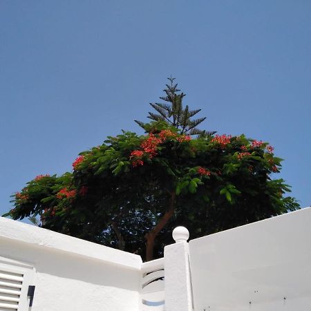 Appartamento House Lilu - luminoso monolocale Arona  Esterno foto